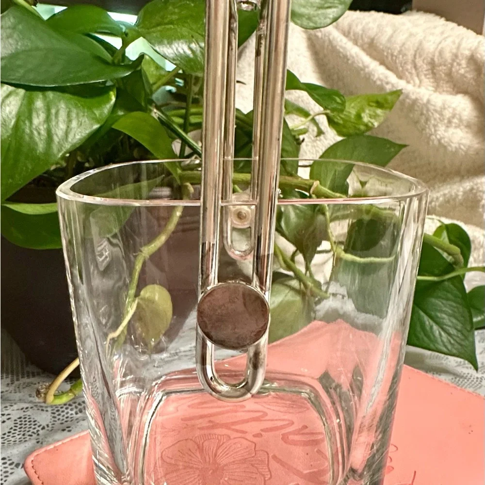Strauss LUIGI BORMIOLI Hand Blown Italian Crystal With Silver Plated Handel MCM